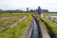 Colin walking the rice field highways in Bali